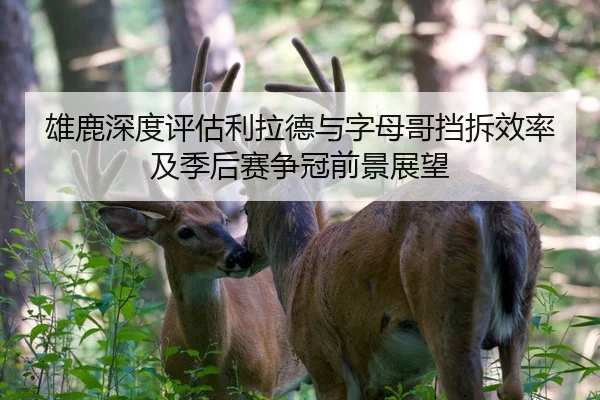 雄鹿深度评估利拉德与字母哥挡拆效率及季后赛争冠前景展望